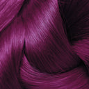  Violet Purpler