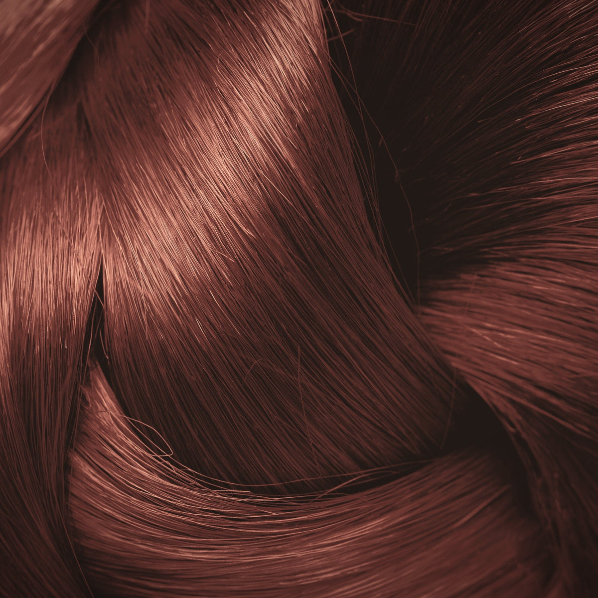 AngeRose Hair Color Shampoo, Hair Dye Shampoo, Instant Grey Hair Coverage, Wine Red, Chestnut Brown, Purple, Perfect Gifts for Women & Men